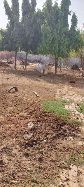 Plot For Sale  In Yakubpur