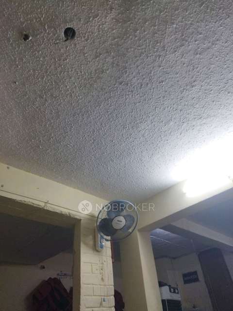 1 BHK Flat In Sb  for Rent  In Banja Rahills