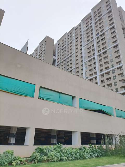 2 BHK Flat In Sobha Dream Gardens for Rent  In Thanisandra