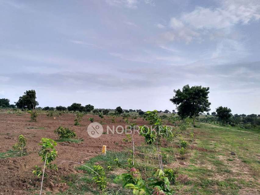Plot For Sale  In Pragati Green Valley In Vikarabad - Hyderabad Road