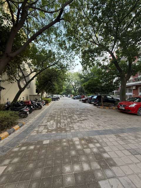 4+ BHK House For Sale  In Sector 53
