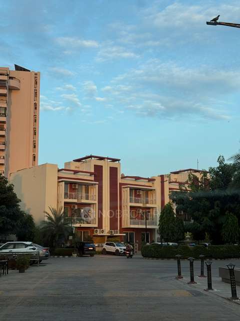 4+ BHK House For Sale  In Sector 53