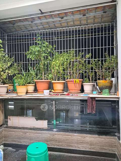 3 BHK Flat In Shiva Srusti For Sale  In Narashima Puram Colony,