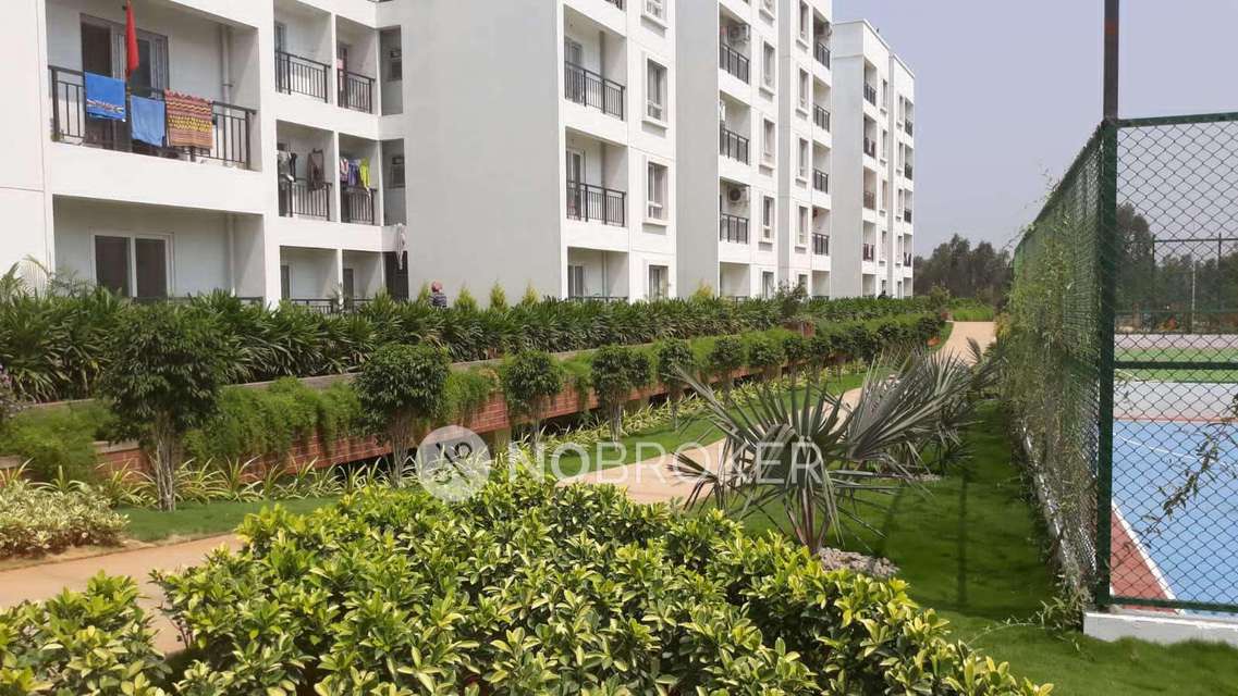 3 BHK Flat In Nr Windgates For Sale  In Chokkanahalli
