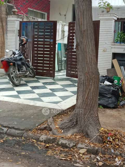 PG for Anyone in Sector 40