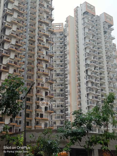 2 BHK Flat In Amrapalli Tropcal For Sale  In Amrapali Tropical Garden