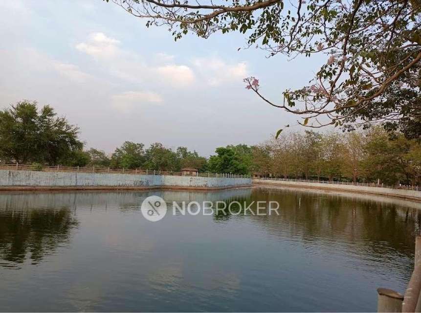 2 BHK Flat In Delta Central For Sale  In Sector 23