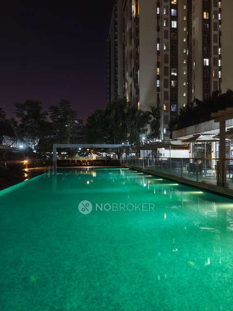 1 BHK Flat In Kolte Patil Little Earth, Kiwale For Sale  In Little Earth By Kolte Patil 