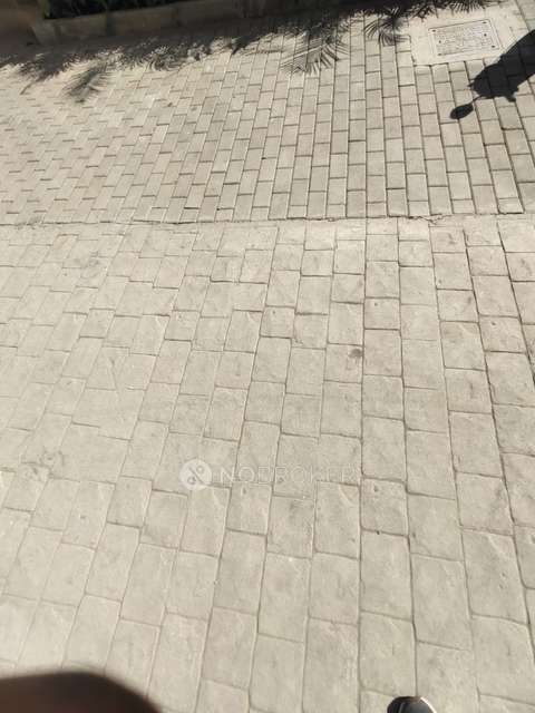 3 BHK Flat In Jhamtani Ace Abode for Rent  In Haveli