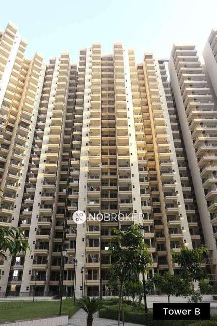 2 BHK Flat In Gaur Yamuna City for Rent  In Greater Noida 