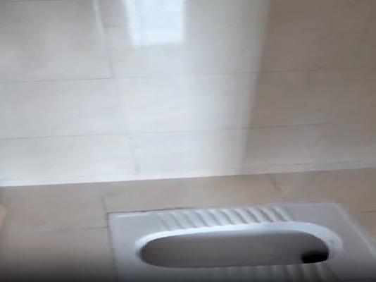 1 BHK Flat In Apak Ajinkya Towers for Rent  In Charholi Budruk