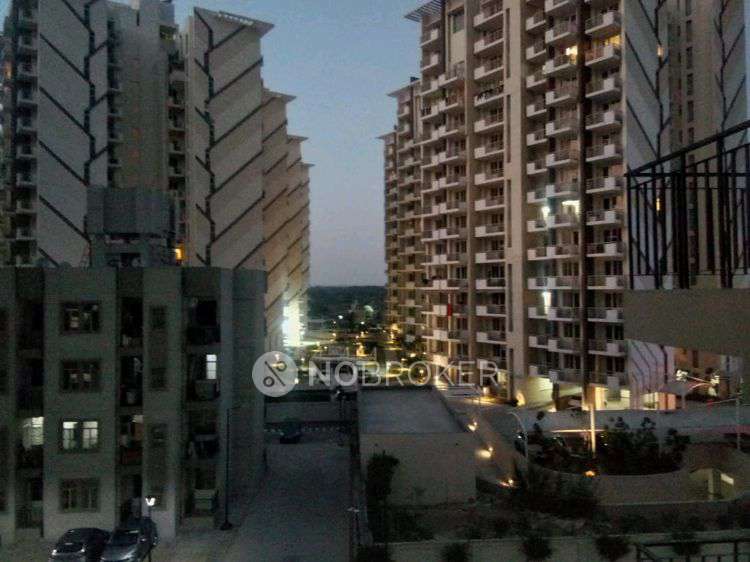 2 BHK Flat In Signature Global Solera For Sale  In Sector 107