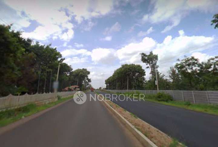 Plot For Sale  In Farm Land In Gutte Palya