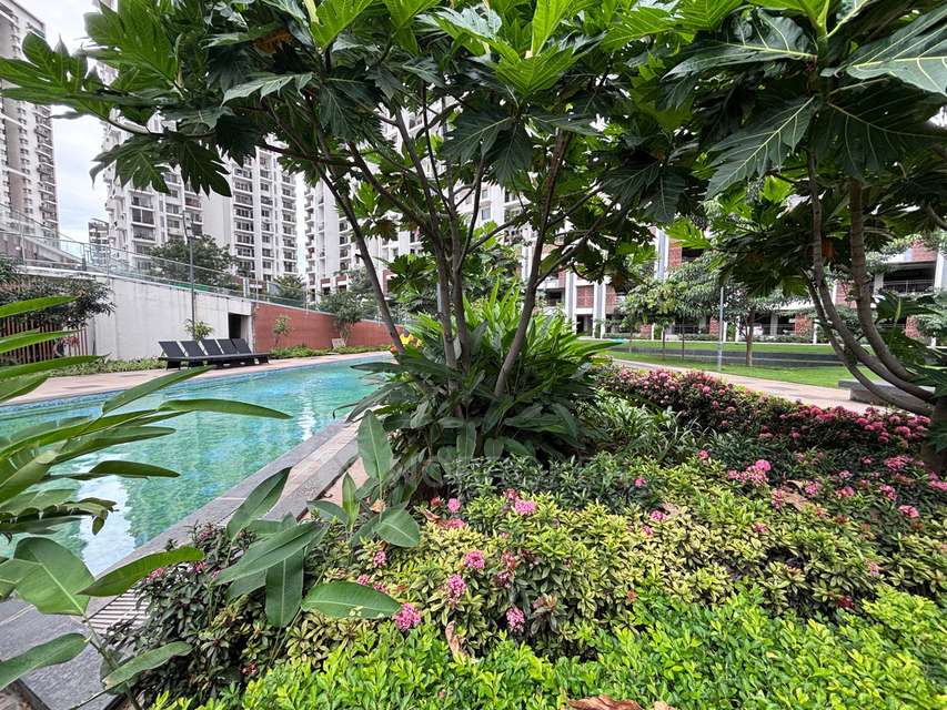 2 BHK Flat In Godrej Rejuve for Rent  In Keshav Nagar