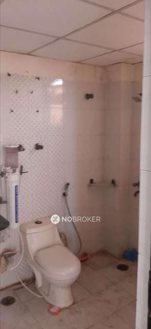 3 BHK Flat In Supertech Emerald Court For Sale  In Sector 93a