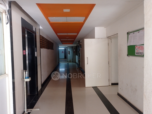 3 BHK Flat In Vinode Spirea for Rent  In Wakad