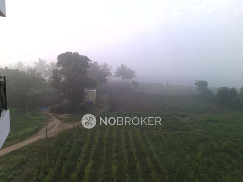 3 BHK Flat In Asset Alcazar For Sale  In V. Kallahalli