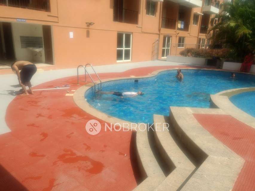 3 BHK Flat In Asset Alcazar For Sale  In V. Kallahalli