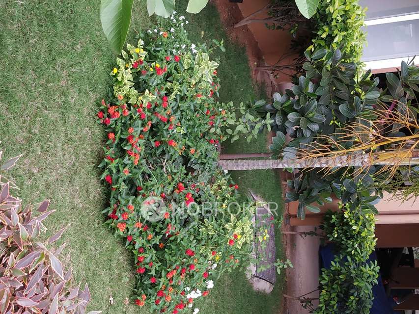 3 BHK Flat In Asset Alcazar For Sale  In V. Kallahalli