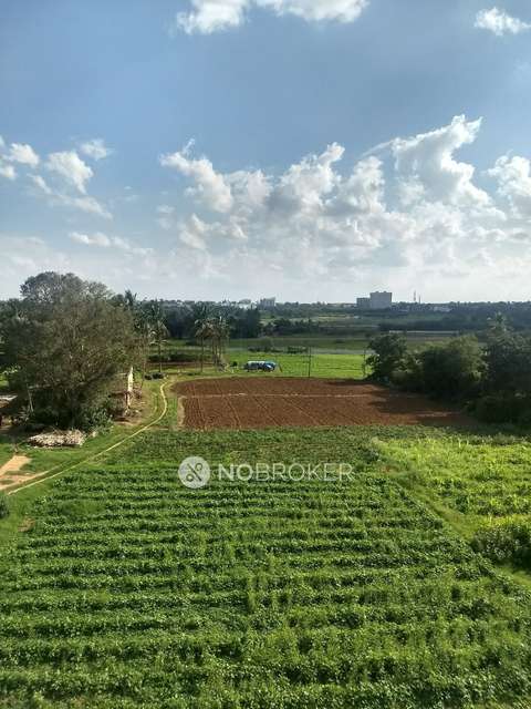 3 BHK Flat In Asset Alcazar For Sale  In V. Kallahalli