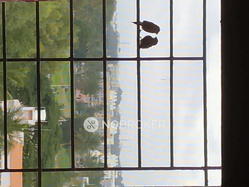 3 BHK Flat In Asset Alcazar For Sale  In V. Kallahalli