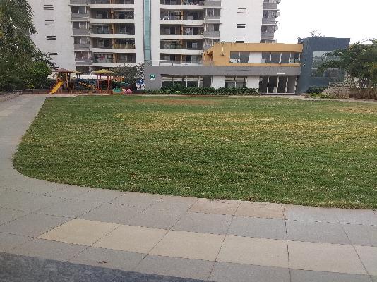 3 BHK Flat In Saarrthi Signor for Rent  In Hinjewadi