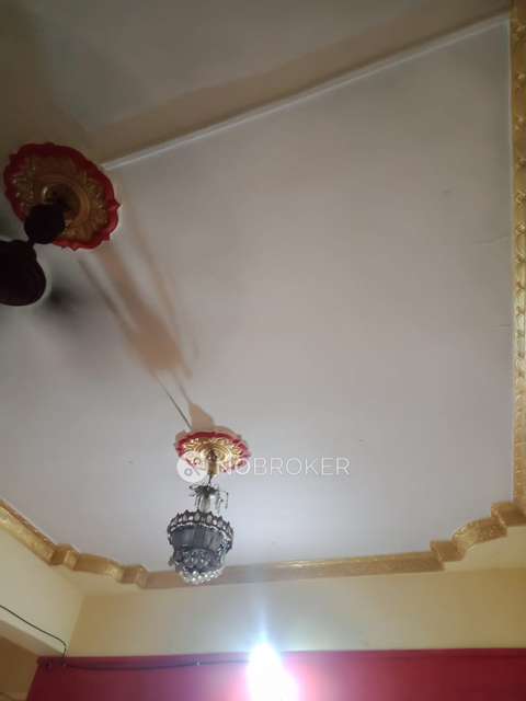 1 BHK Flat In Shree Ganesh Chs For Sale  In Usarli Khurd