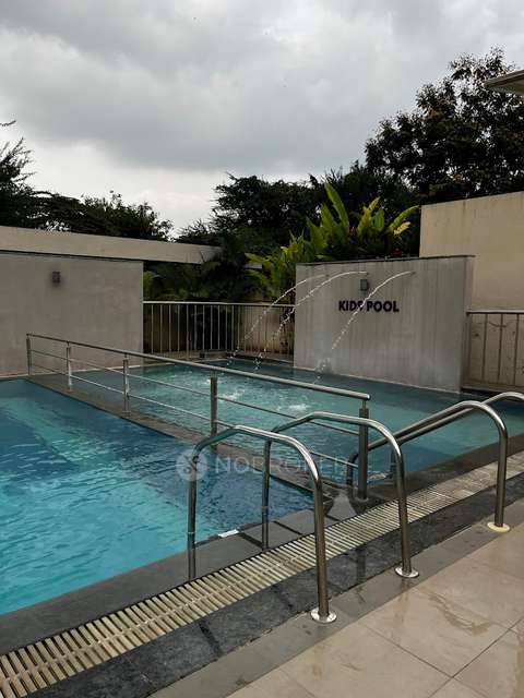 2 BHK Flat In Geras Adara, Pune for Rent  In Hinjawadi Phase Ii