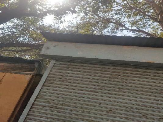 Shop in Dapodi, Pune for Rent 