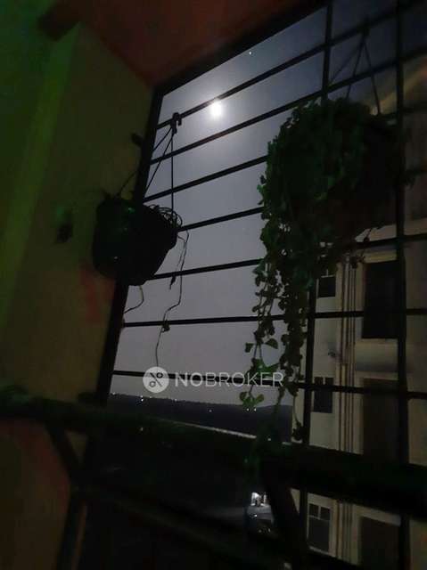 2 BHK Flat In Xrbia Riverfront for Rent  In Hinjawadi