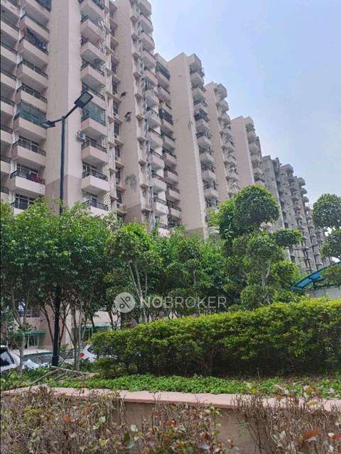 2 BHK Flat In Today Ridge Residency For Sale  In Today Homes Ridge Residency
