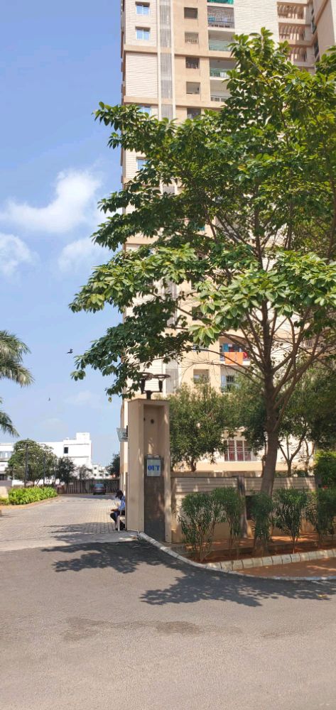 Pacifica Aurum Happiness Towers