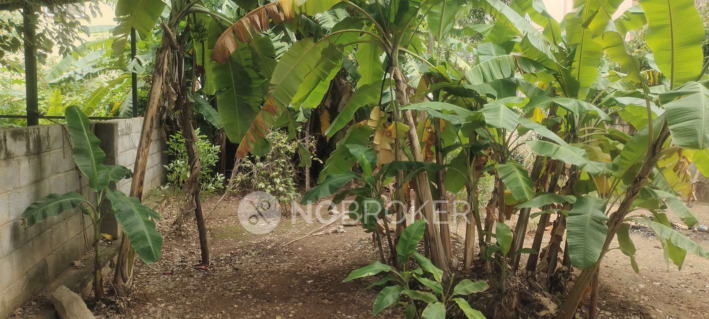 Plot For Sale  In Thanisandra