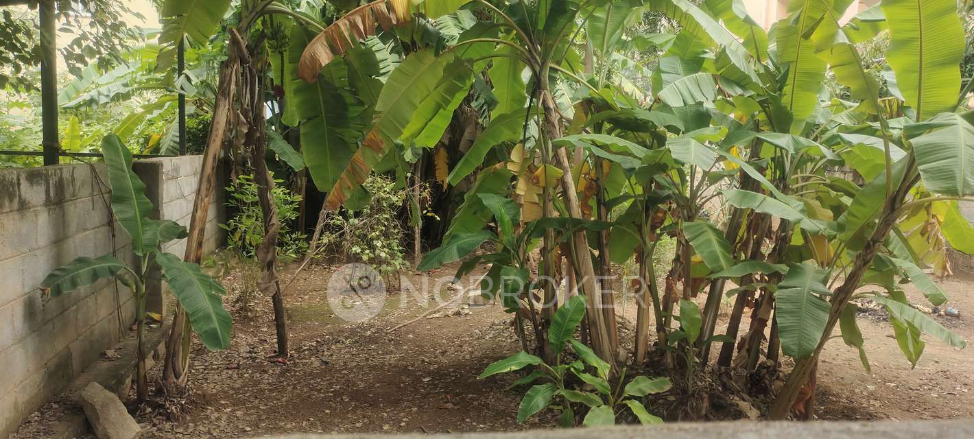 Plot For Sale  In Thanisandra