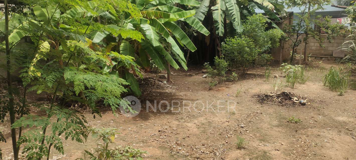 Plot For Sale  In Thanisandra