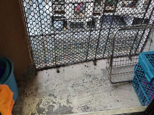 1 BHK Flat In Nisarg Park For Sale  In Shirgaon