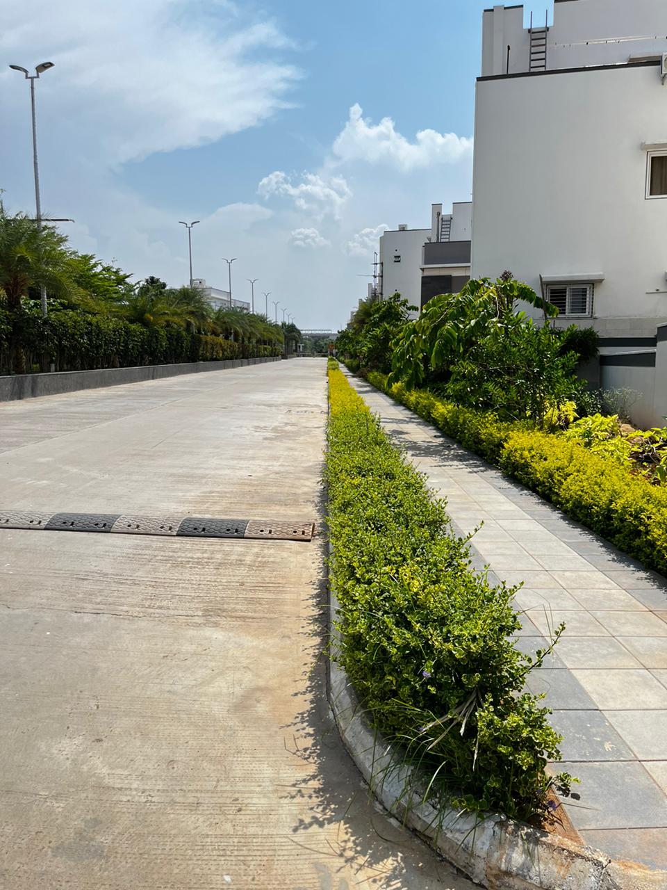 Magna Majestic Meadows