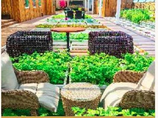 1 BHK Flat In Dhanlaxmi Dhananjay Hill View For Sale  In Nalasopara West