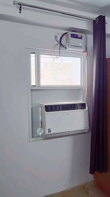 PG for Anyone in  Sector 33