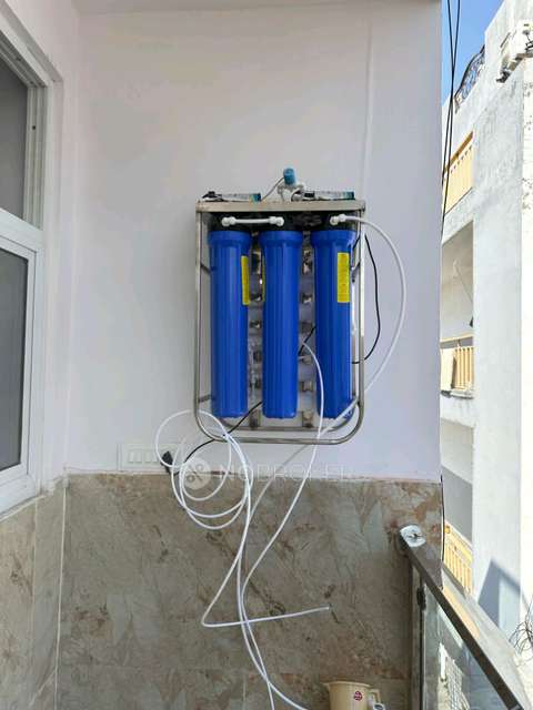 PG for Anyone in  Sector 33