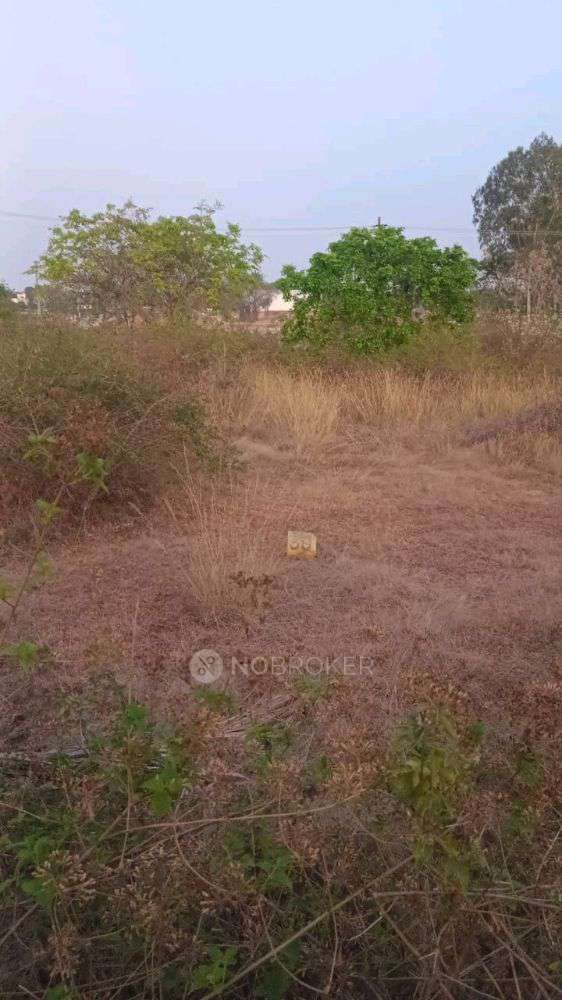 Plot For Sale  In Nelamangala