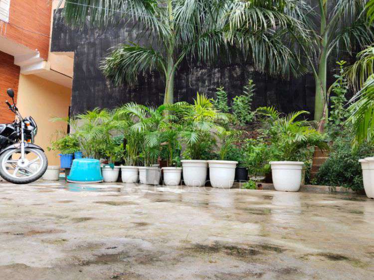 PG for Anyone in Sector 133