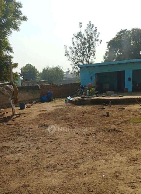 Godown/Warehouse in Knowledge Park V, Greater Noida for Rent 