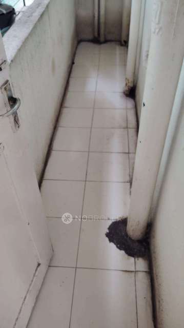 2 BHK Flat In Oxford Comforts For Sale  In Wanowrie