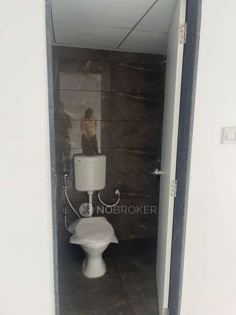 3 BHK Flat In Goel Ganga Newtown Phase 3 for Rent  In Dhanori