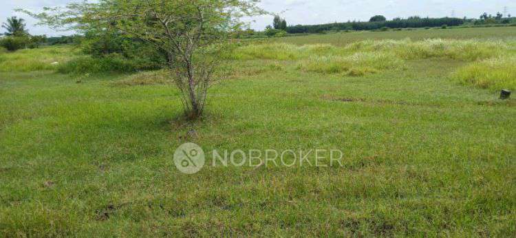 Plot For Sale  In Cs Gate Way In 2429+9q7, Thandalam, Chennai, Tamil Nadu 600128, India