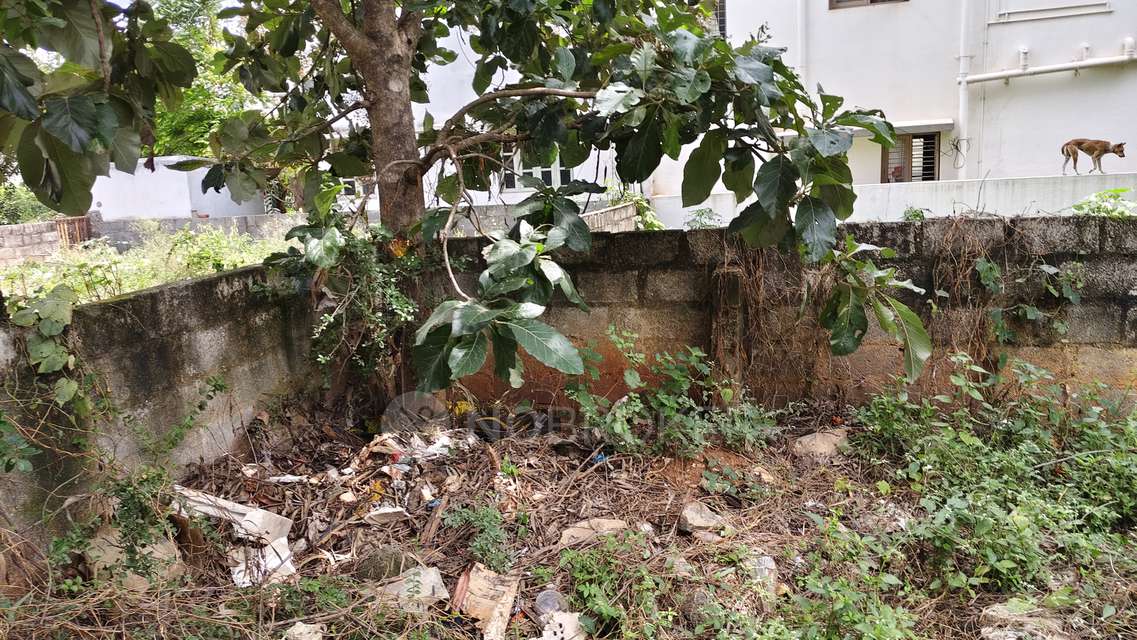 Plot For Sale  In Kanshiram Nagara