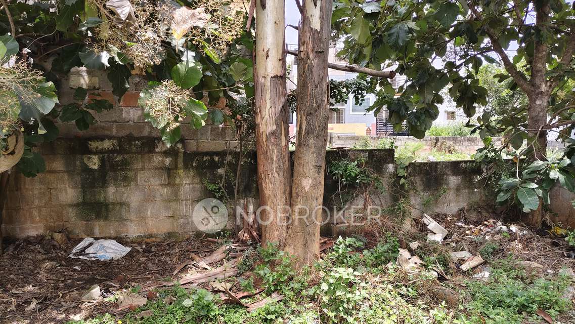 Plot For Sale  In Kanshiram Nagara