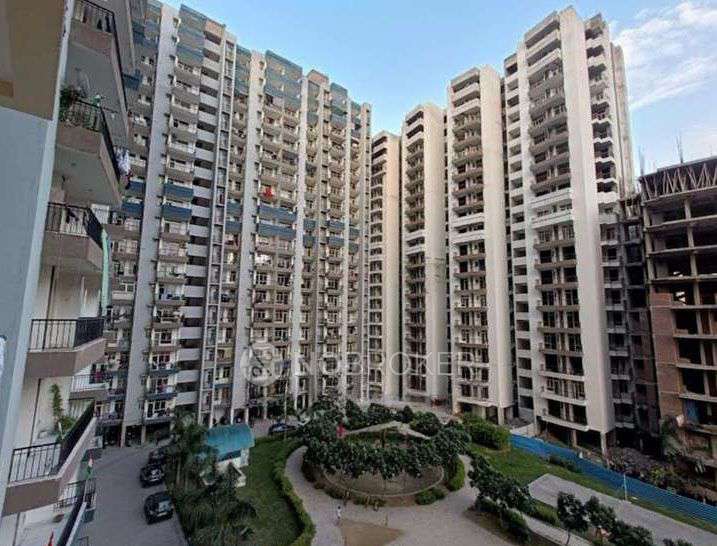 Single Room for Female In 3 BHK  In Radicon Vedantam In Gaur City 2