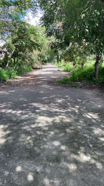 Plot For Sale  In Sai Gardens Layout In Sadarmangala Main Road